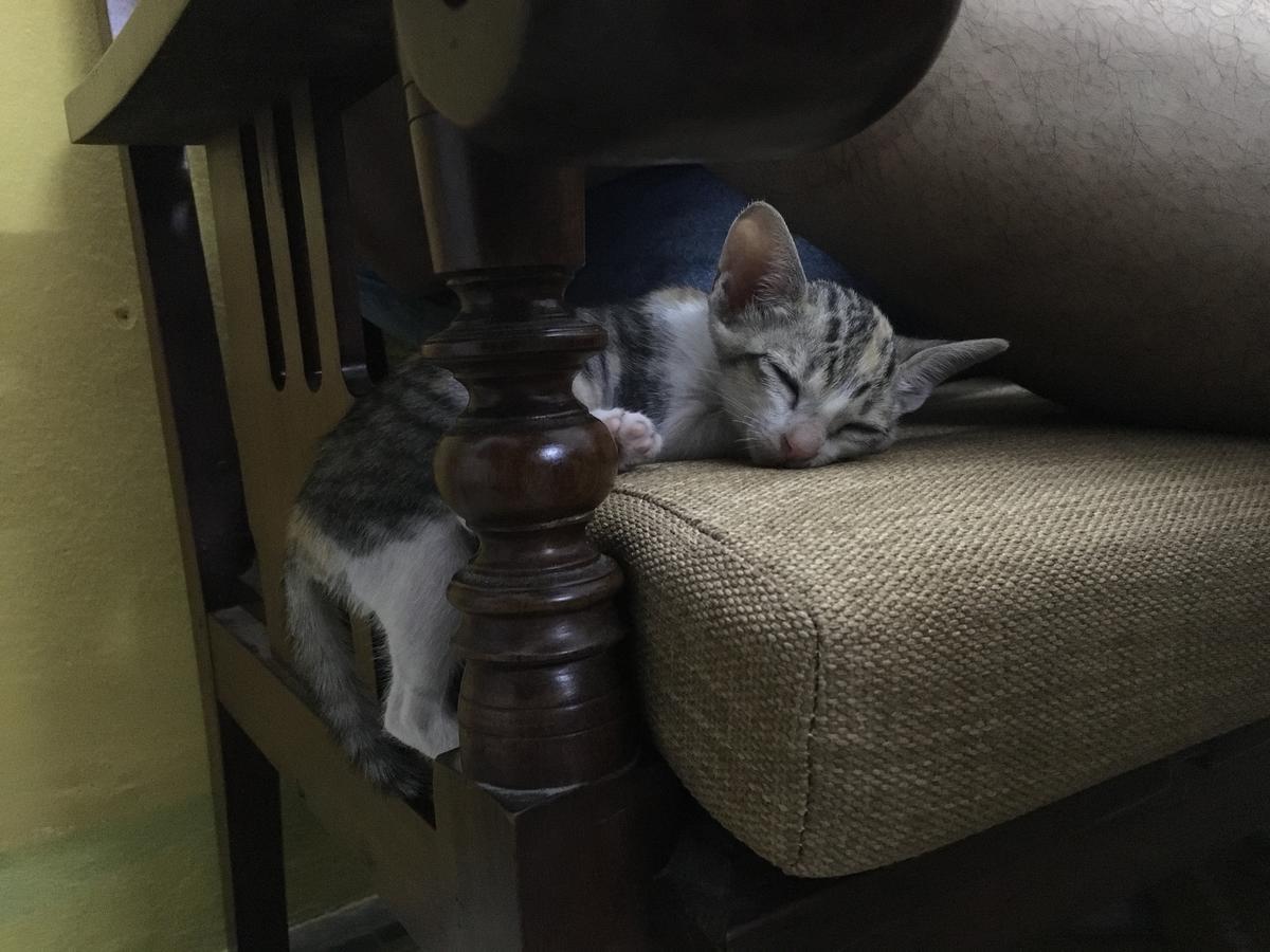 Nha Homestay 다낭 외부 사진