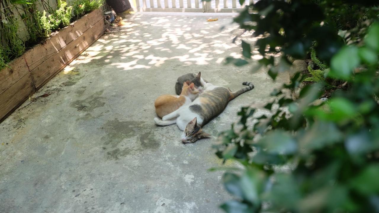 Nha Homestay 다낭 외부 사진