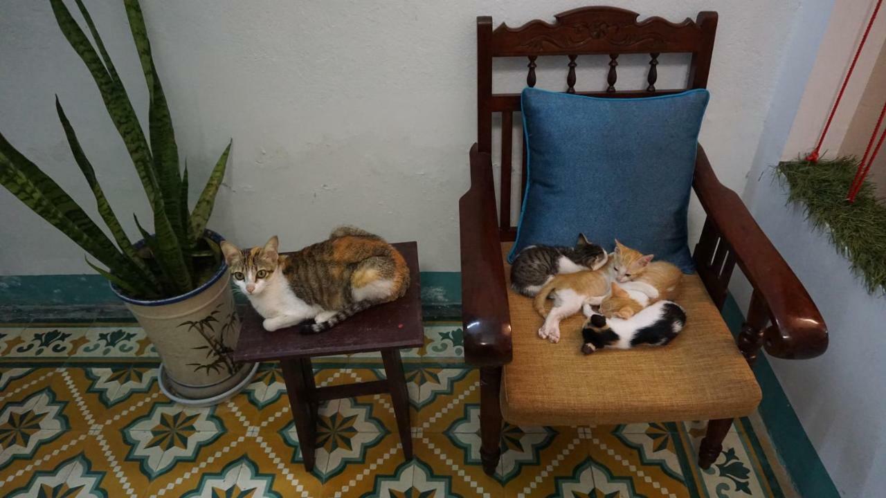 Nha Homestay 다낭 외부 사진