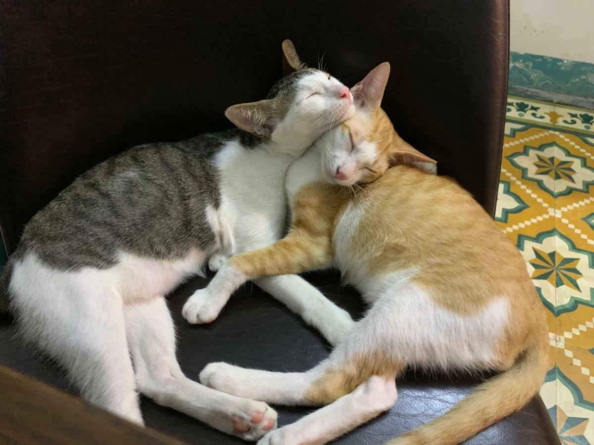 Nha Homestay 다낭 외부 사진