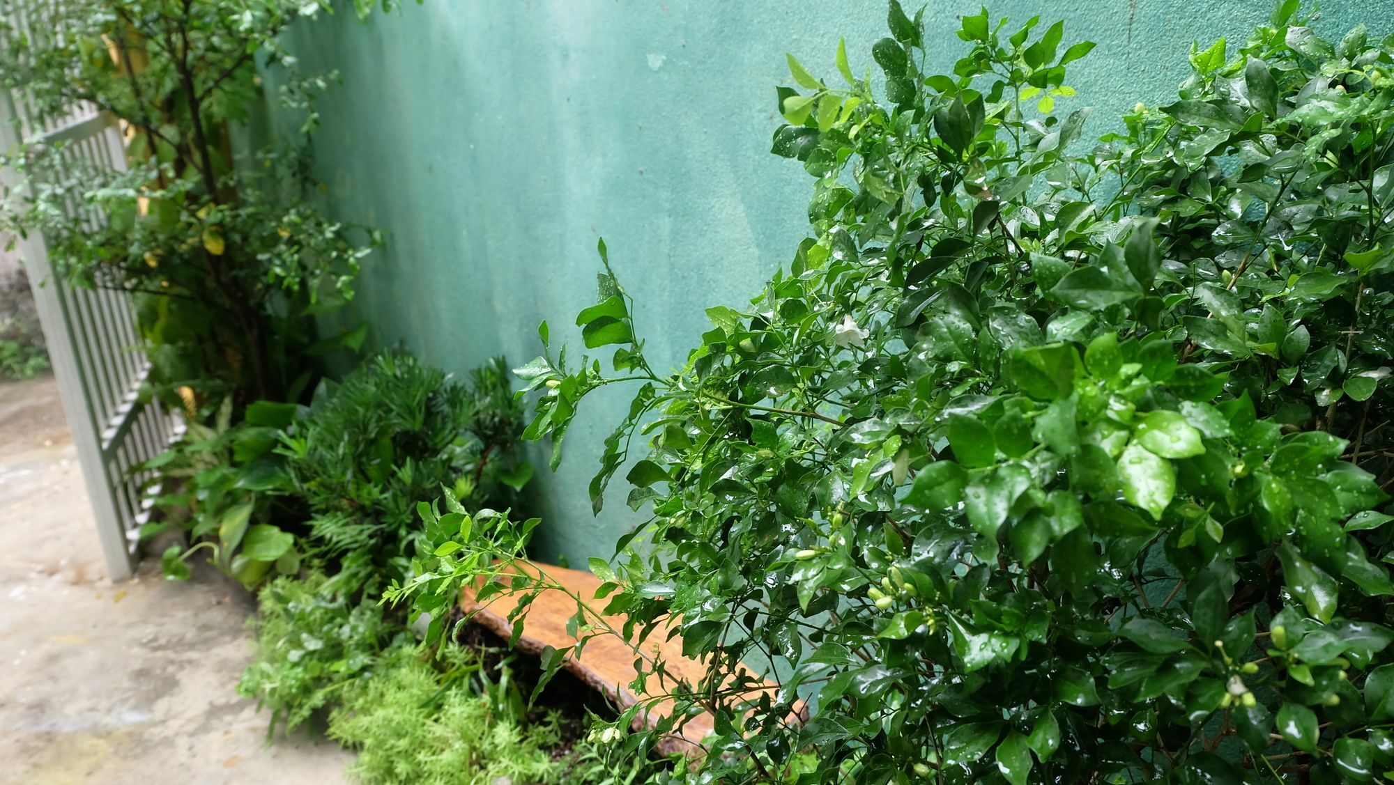 Nha Homestay 다낭 외부 사진